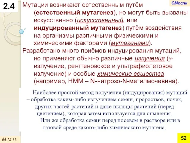 2.4 Мутации возникают естественным путём (естественный мутагенез), но могут быть вызваны