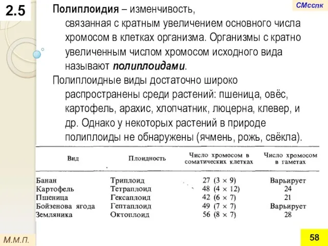 2.5 Полиплоидия – изменчивость, связанная с кратным увеличением основного числа хромосом