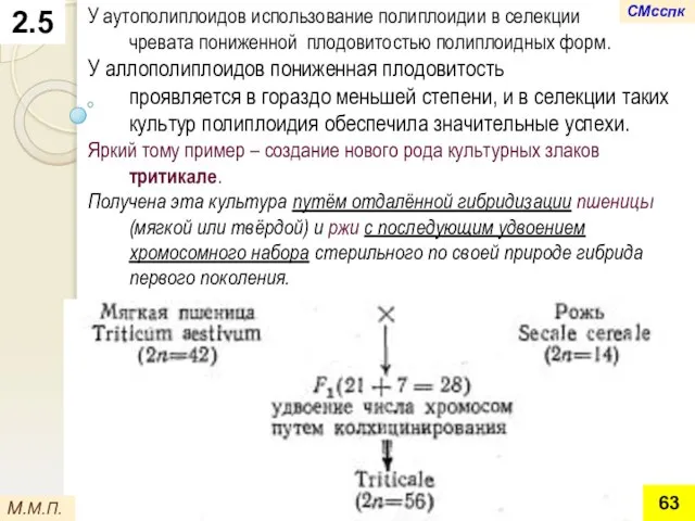 2.5 У аутополиплоидов использование полиплоидии в селекции чревата пониженной плодовитостью полиплоидных