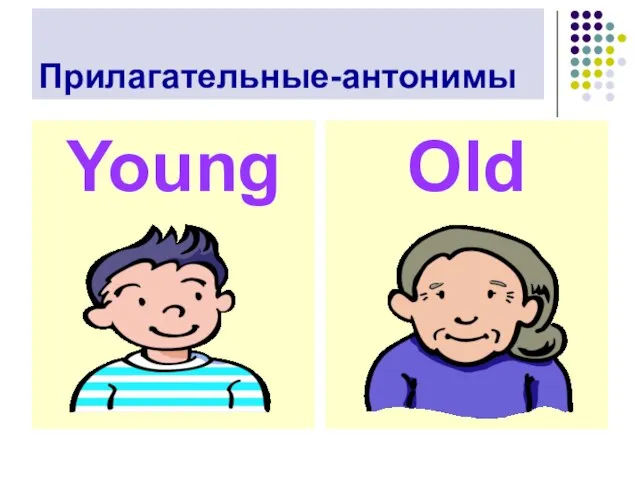 Прилагательные-антонимы Young Old