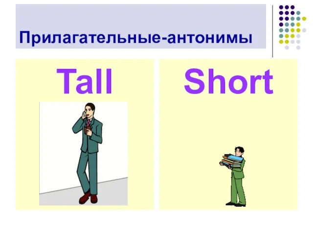 Прилагательные-антонимы Tall Short