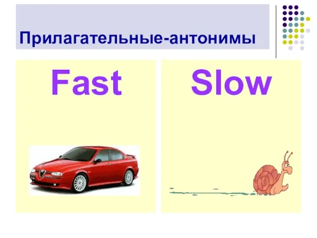 Прилагательные-антонимы Fast Slow