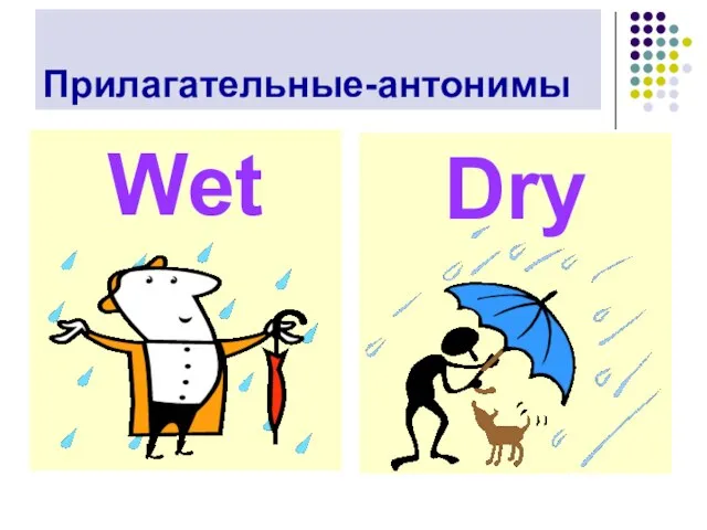 Прилагательные-антонимы Wet Dry