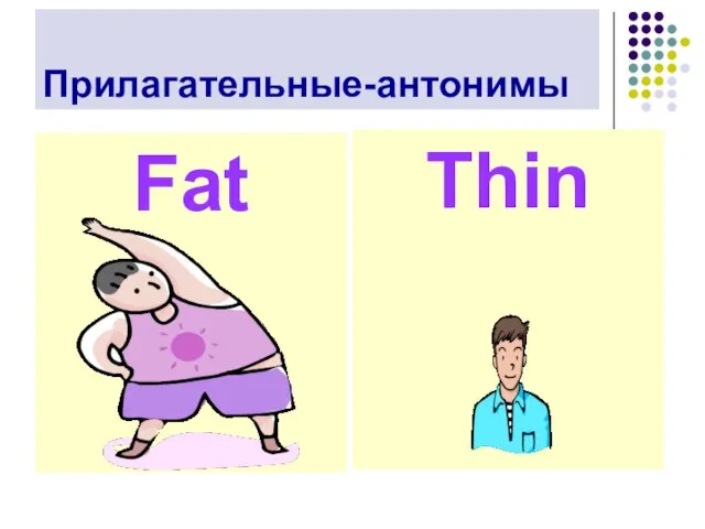 Прилагательные-антонимы Fat Thin