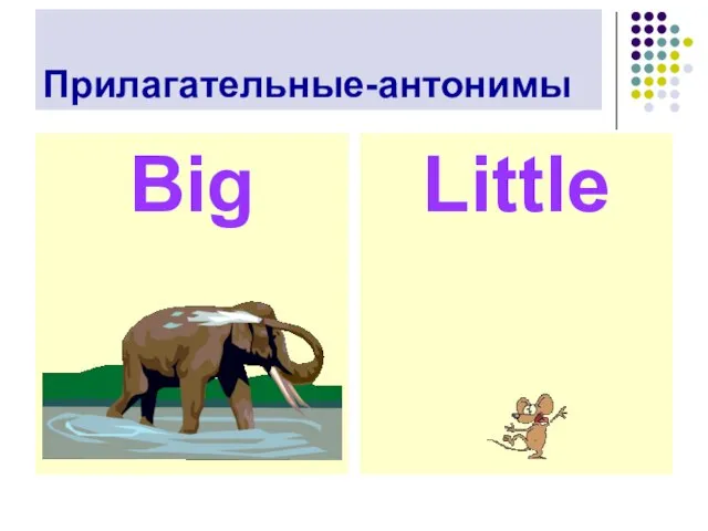 Прилагательные-антонимы Big Little