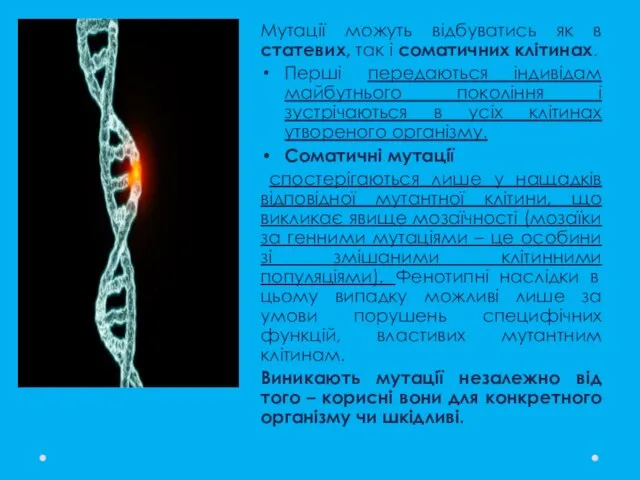 Мутації можуть відбуватись як в статевих, так і соматичних клітинах. Перші