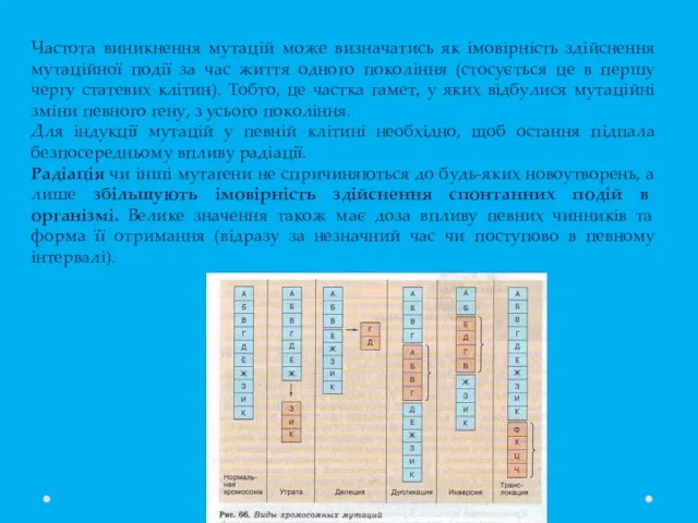 Частота виникнення мутацій може визначатись як імовірність здійснення мутаційної події за