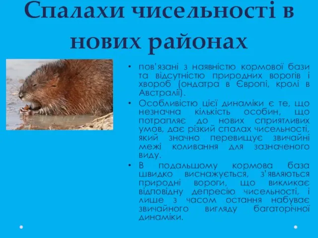 Спалахи чисельності в нових районах пов’язані з наявністю кормової бази та