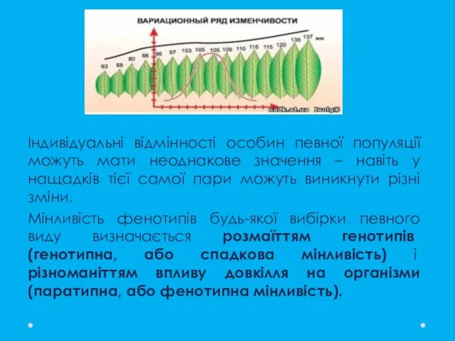 Індивідуальні відмінності особин певної популяції можуть мати неоднакове значення – навіть