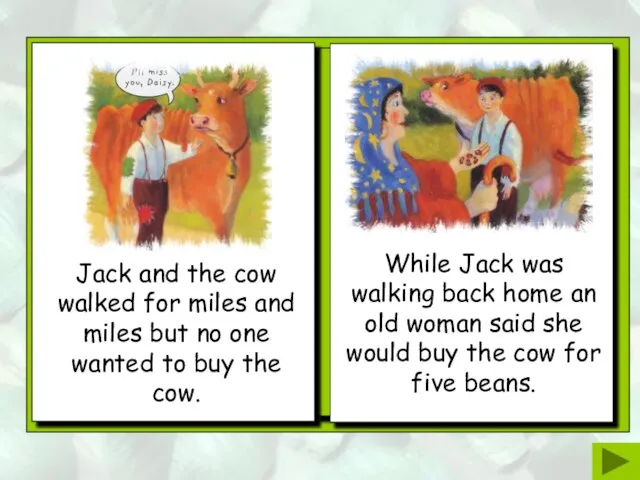 Jack and the cow walked for miles and miles but no