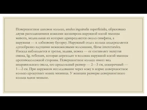 Поверхностное паховое кольцо, anulus inguinalis superficialis, образовано двумя расходящимися ножками апоневроза