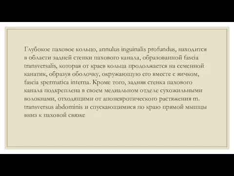 Глубокое паховое кольцо, annulus inguinalis profundus, находится в области задней стенки