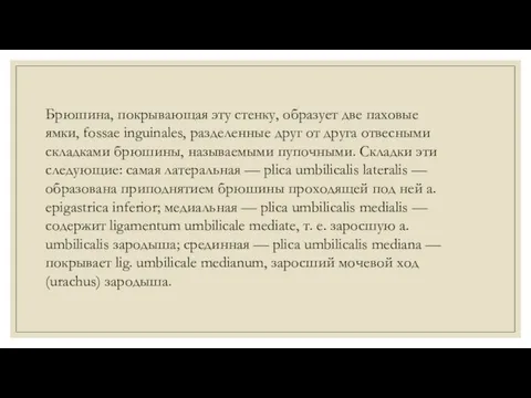 Брюшина, покрывающая эту стенку, образует две паховые ямки, fossae inguinales, разделенные