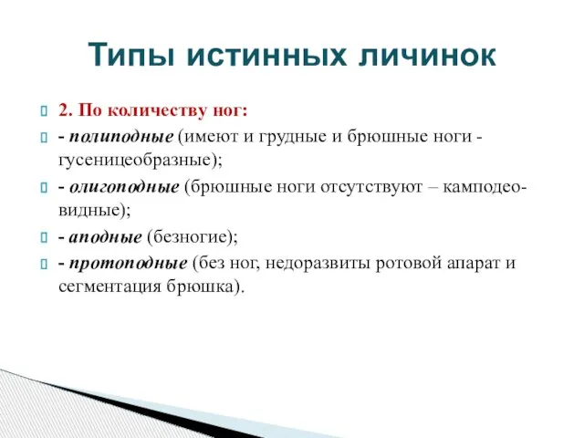 2. По количеству ног: - полиподные (имеют и грудные и брюшные