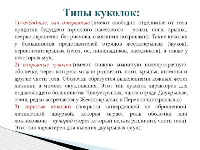 Типы куколок: 1) свободные, или открытые (имеют свободно отделимые от тела