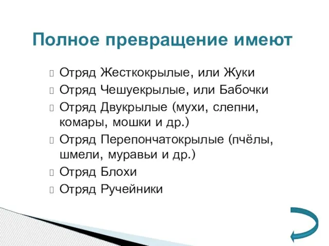 Отряд Жесткокрылые, или Жуки Отряд Чешуекрылые, или Бабочки Отряд Двукрылые (мухи,