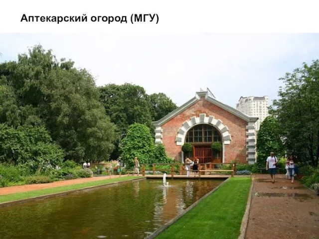 Аптекарский огород (МГУ)