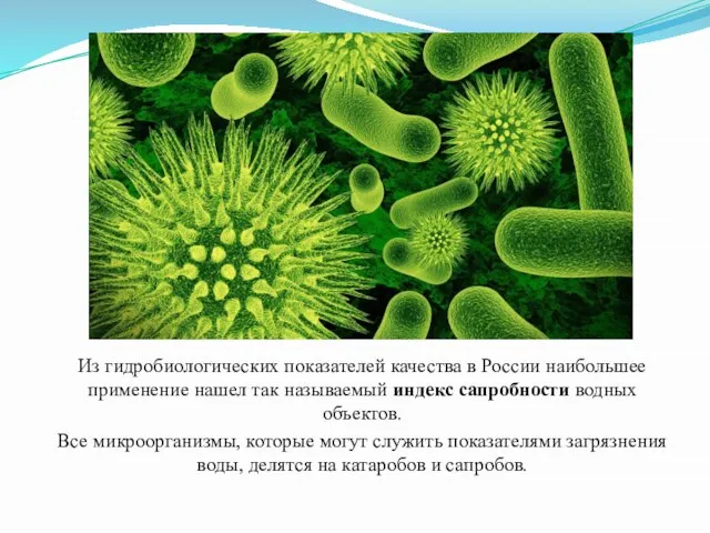 Из гидробиологических показателей качества в России наибольшее применение нашел так называемый