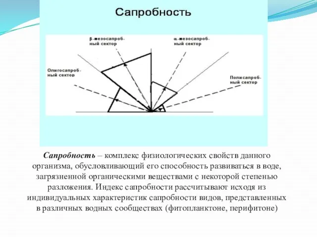 Сапробность – комплекс физиологических свойств данного организма, обусловливающий его способность развиваться