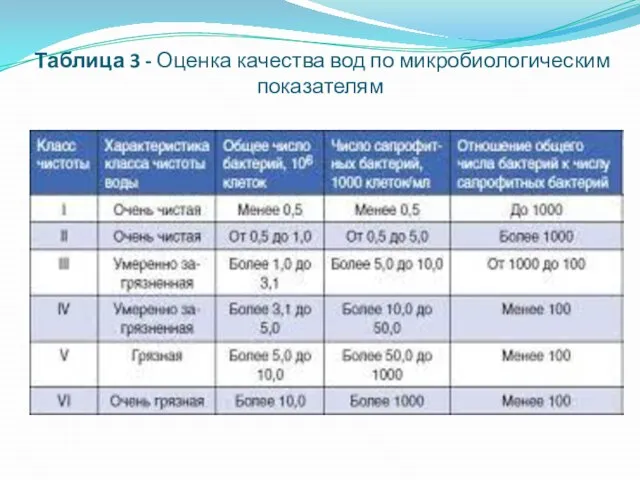 Таблица 3 - Оценка качества вод по микробиологическим показателям