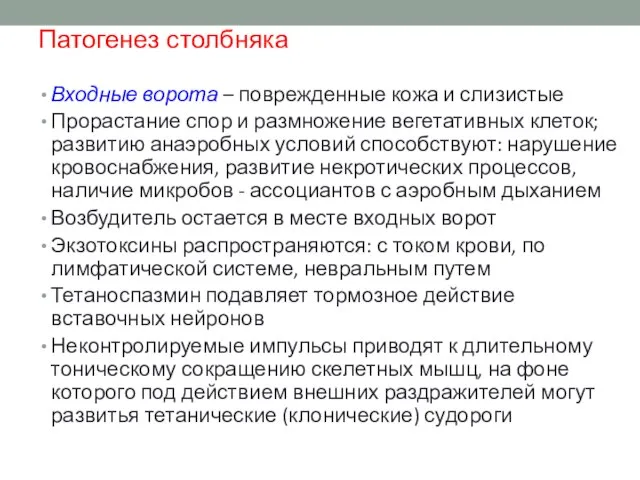 Патогенез столбняка Входные ворота – поврежденные кожа и слизистые Прорастание спор