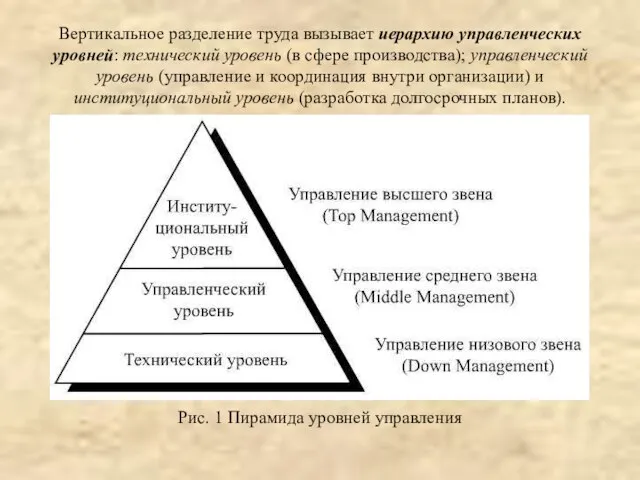 Вертикальное разделение труда вызывает иерархию управленческих уровней: технический уровень (в сфере