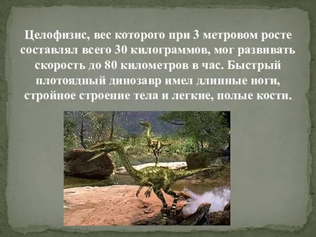 Целофизис, вес которого при 3 метровом росте составлял всего 30 килограммов,