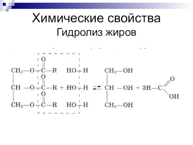 Химические свойства Гидролиз жиров