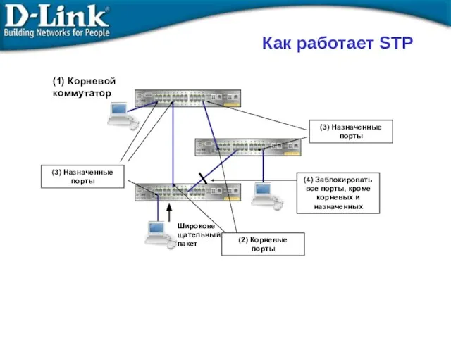 Широковещательный пакет (2) Корневые порты (3) Назначенные порты (3) Назначенные порты