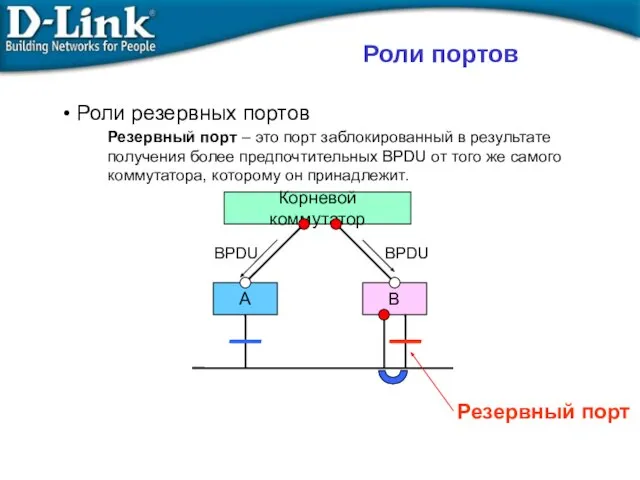 Роли резервных портов Резервный порт – это порт заблокированный в результате