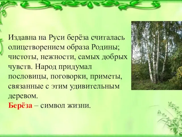 Издавна на Руси берёза считалась олицетворением образа Родины; чистоты, нежности, самых