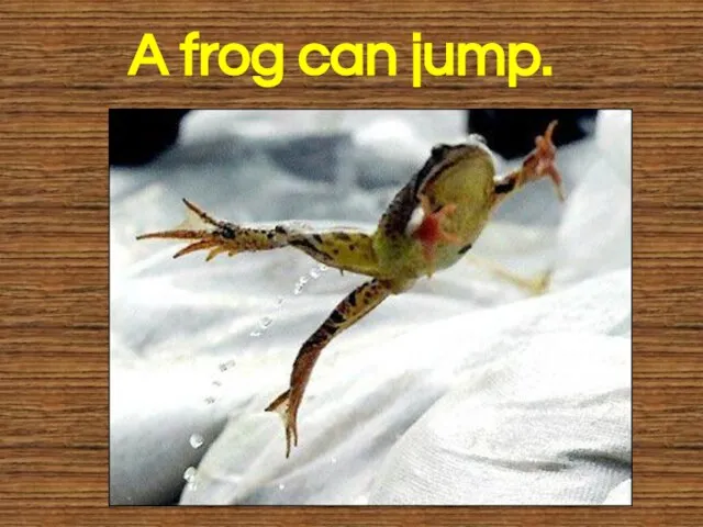 A frog can jump.