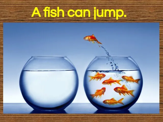 A fish can jump.