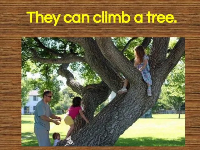 They can climb a tree.