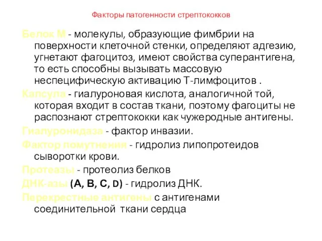 Факторы патогенности стрептококков Белок М - молекулы, образующие фимбрии на поверхности