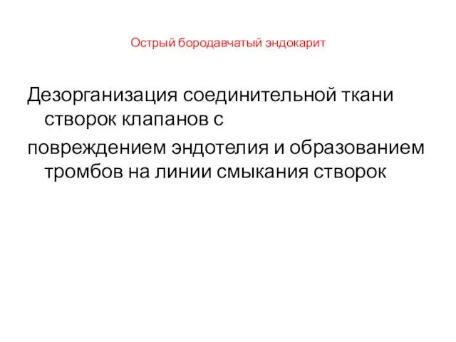 Острый бородавчатый эндокарит Дезорганизация соединительной ткани створок клапанов с повреждением эндотелия