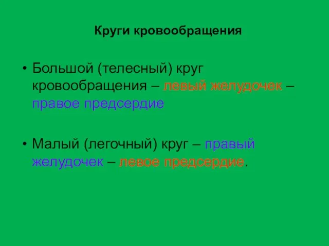 Круги кровообращения Большой (телесный) круг кровообращения – левый желудочек – правое