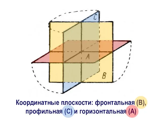 Координатные плоскости: фронтальная (В), профильная (С) и горизонтальная (А)