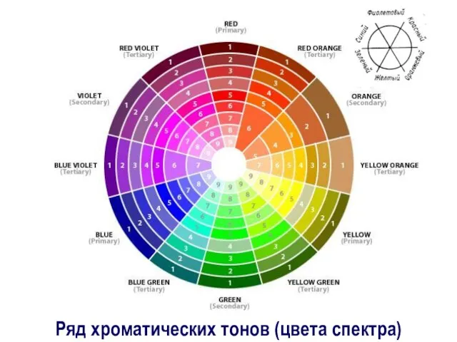 Ряд хроматических тонов (цвета спектра)