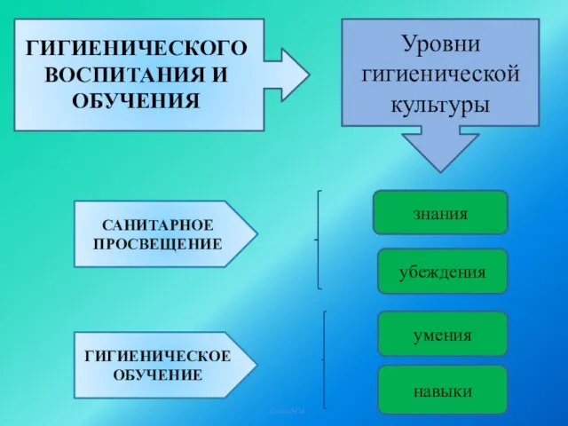 Солтан М.М. ГИГИЕНИЧЕСКОГО ВОСПИТАНИЯ И ОБУЧЕНИЯ Уровни гигиенической культуры умения навыки