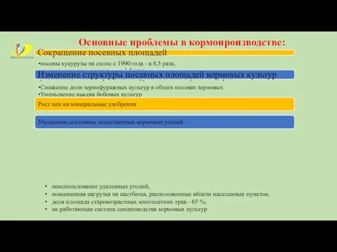 Основные проблемы в кормопроизводстве: Сокращение посевных площадей посевы кукурузы на силос