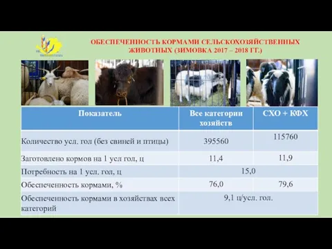 ОБЕСПЕЧЕННОСТЬ КОРМАМИ СЕЛЬСКОХОЗЯЙСТВЕННЫХ ЖИВОТНЫХ (ЗИМОВКА 2017 – 2018 ГГ.)