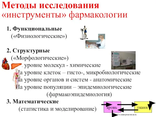 1. Функциональные («Физиологические») 2. Структурные («Морфологические») На уровне молекул - химические