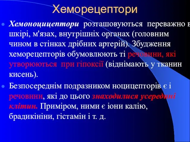 Хеморецептори Хемоноцицептори розташовуються переважно в шкірі, м'язах, внутрішніх органах (головним чином