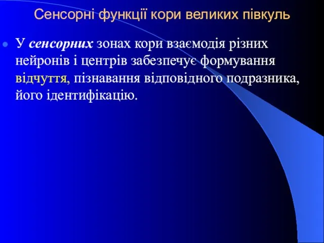 Сенсорні функції кори великих півкуль У сенсорних зонах кори взаємодія різних