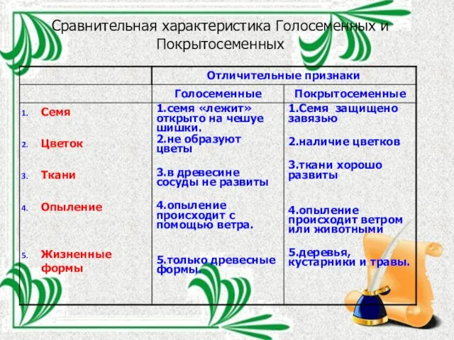 Сравнительная характеристика Голосеменных и Покрытосеменных