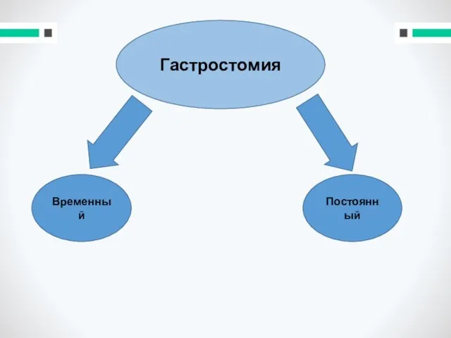 Гастростомия Гастростомия Временный Постоянный