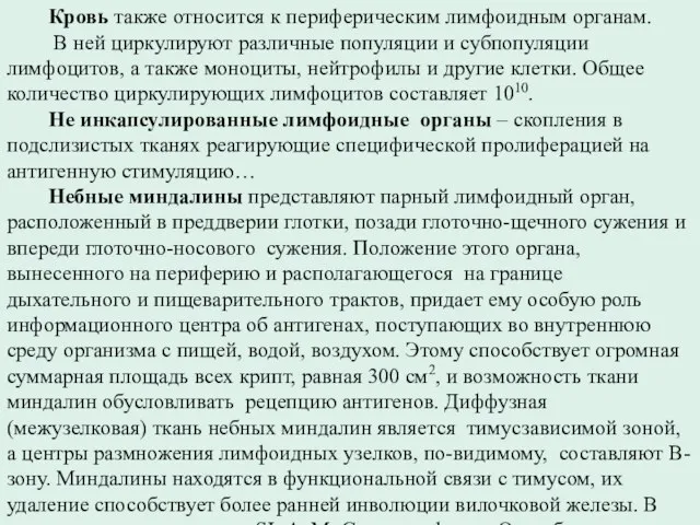 Кровь также относится к периферическим лимфоидным органам. В ней циркулируют различные