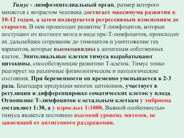 Тимус - лимфоэпителиальный орган, размер которого меняется с возрастом человека достигает