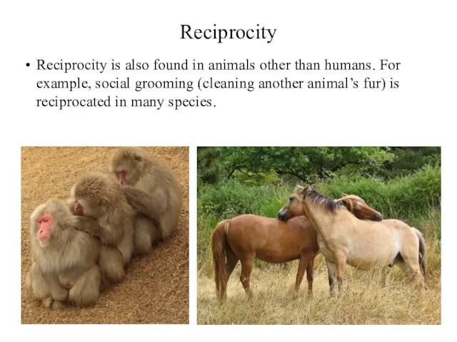 Reciprocity Reciprocity is also found in animals other than humans. For